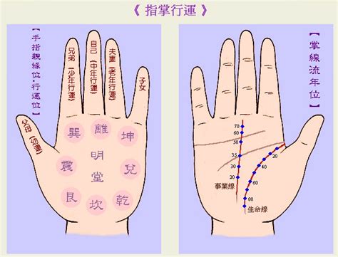 掌中菱形紋|傳統手相解析：手掌中出現的「特殊符號」有什麼意。